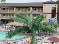 Put-in-Bay Fall Ball Put-In-Bay Resort & Conference Center
